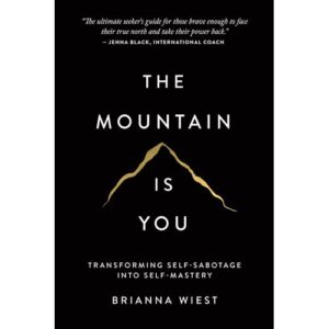 the mountain is you by brianna wiest